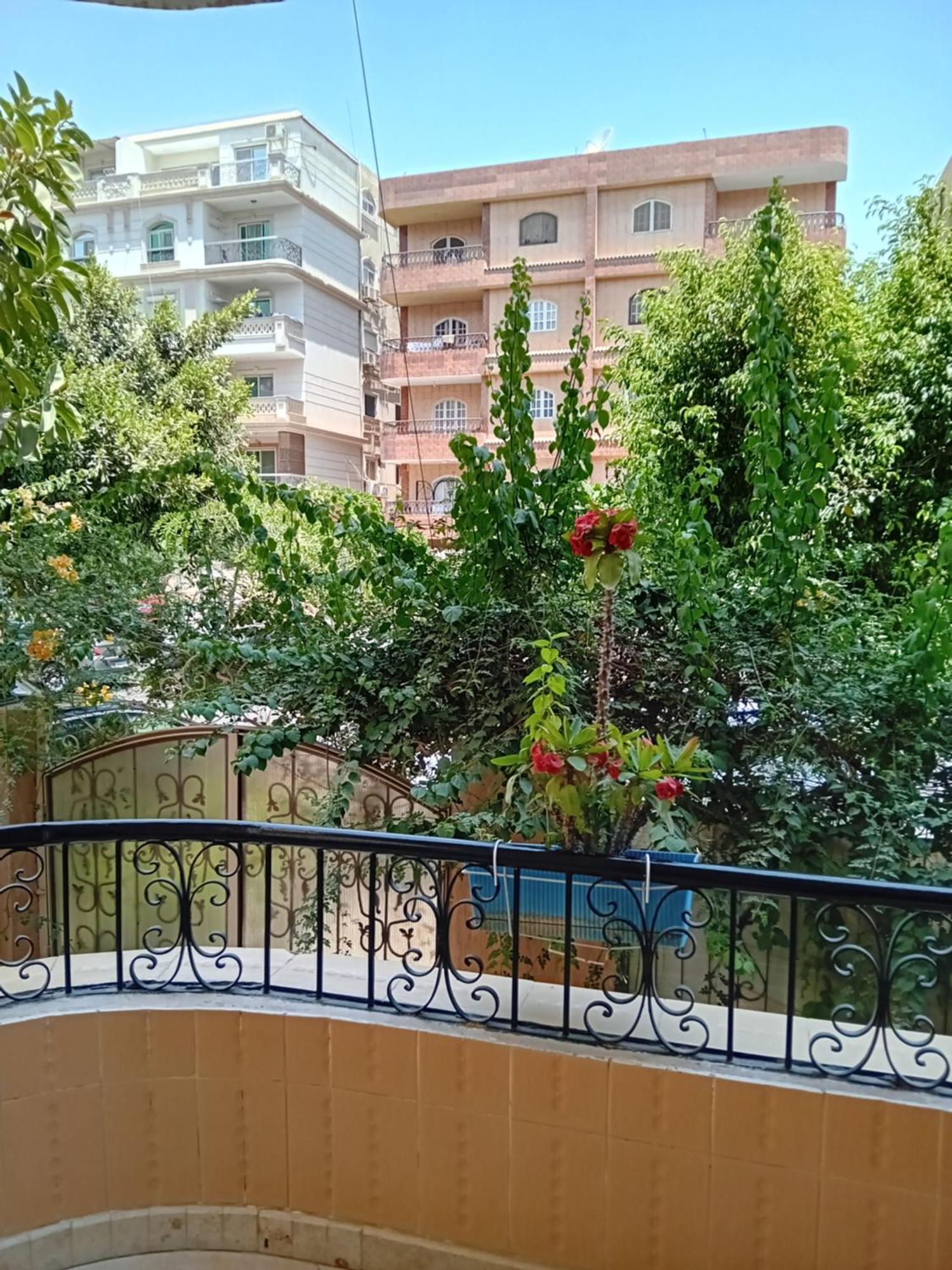 سكن أسامه Cairo